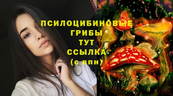 ECSTASY Лихославль